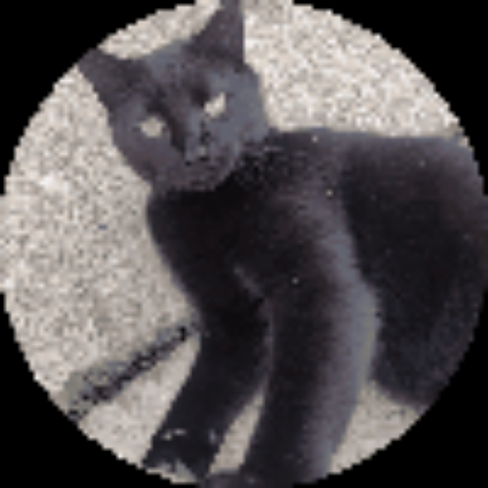 Meet your Posher, Emely